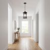 Black Lantern Seeded Metal Dimmable Chandelier With Clear Shades