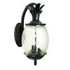 10" Black And Clear Metal and Glass Three Lights Flush Mounted Sconce
