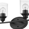 14" Black And Clear Metal and Glass Two Light Flush Mounted Sconce