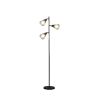 66" Black Metal Three Light Tree Floor Lamp With Black Metal Cage Shade