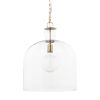 Clear Single Glass Dimmable Ceiling Light With Clear Shades