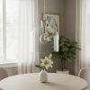 Clear Single Glass Dimmable Ceiling Light With Clear Shades