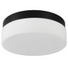 11" Black Metal And Glass Flush Mount Ceiling Light