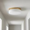 11" Brass Metal And Glass Flush Mount Ceiling Light