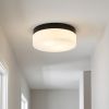 11" Black Metal And Frosted Glass Flush Mount Ceiling Light