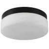 11" Black Metal And Frosted Glass Flush Mount Ceiling Light