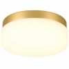 11" Brass Metal And Frosted Glass Flush Mount Ceiling Light