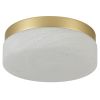 11" Brass Metal And Frosted Glass Flush Mount Ceiling Light