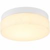11" White Metal And Frosted Glass Flush Mount Ceiling Light