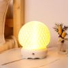 6" White Globe Desk Lamp With Globe Shade