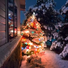 330FT Christmas String Lights 1000 LED, 8 Modes & 8 Brightness Levels with Remote & Timer, IP44 Waterproof Extra-Long Lights for Tree Patio Yard (Color: Color)